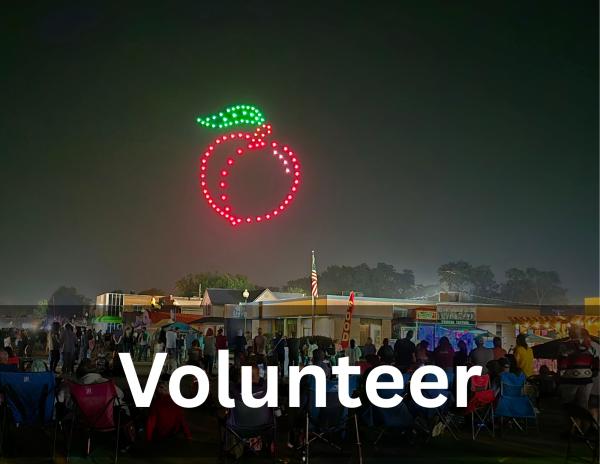 Volunteer Application