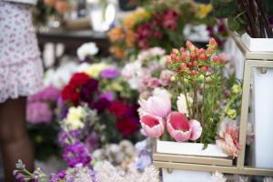 Artisan Vendor Application