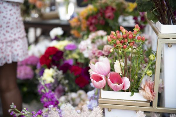 Artisan Vendor Application