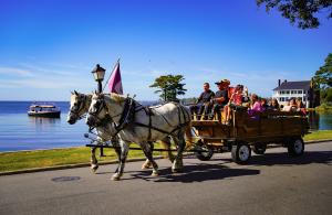 Helpful Odds and Ends