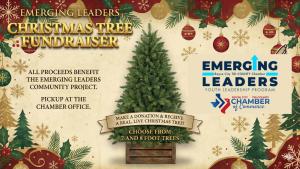 Claim Your Tree - Christmas Tree Fundraiser