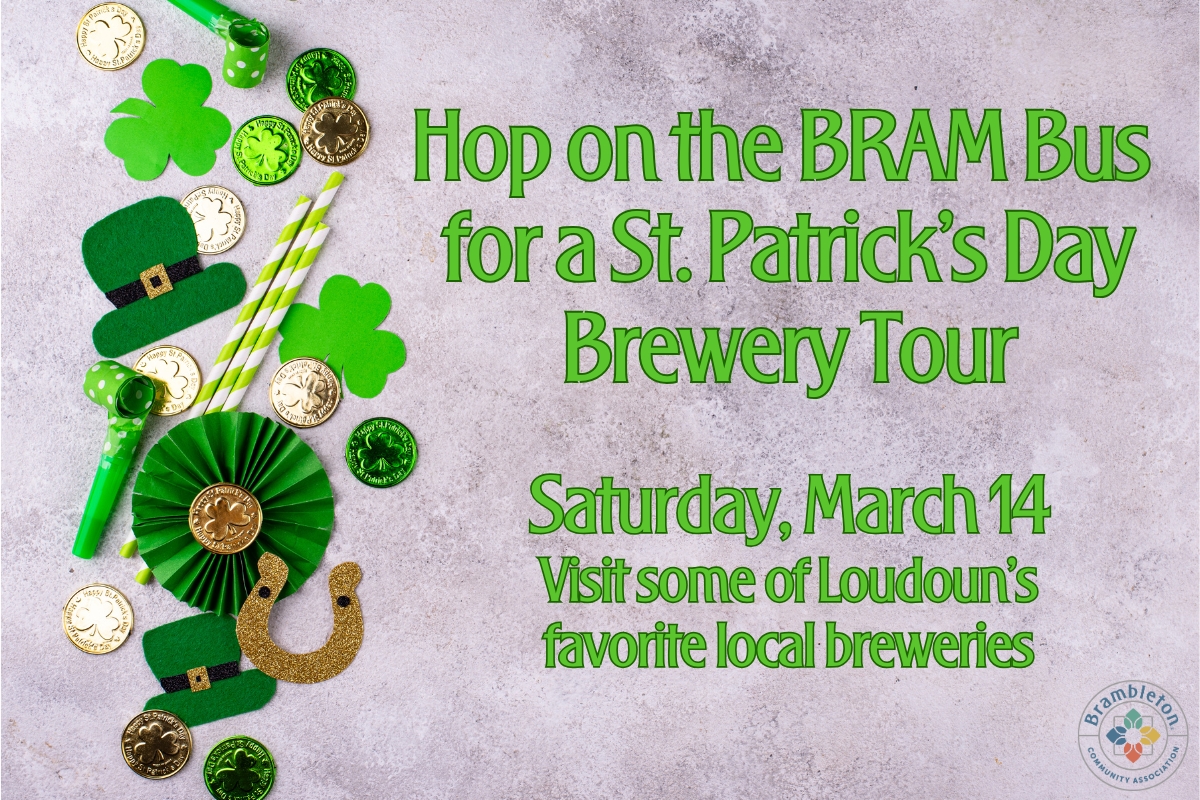 St. Patricks Day Brewery Tour -March 14 -  Bear Chase Brewing and Lost Barrel cover picture