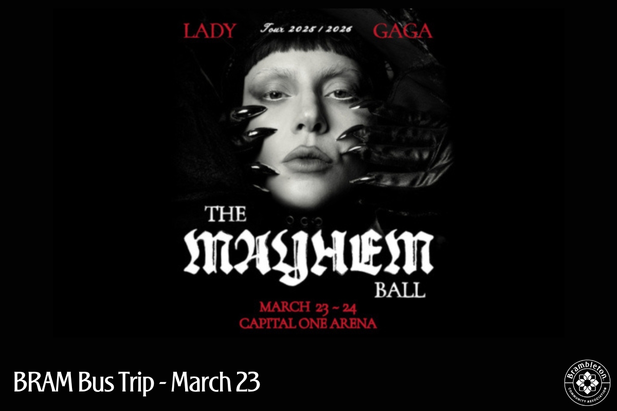 Lady Gaga - March 23, 2026 -  Capital One Arena cover picture