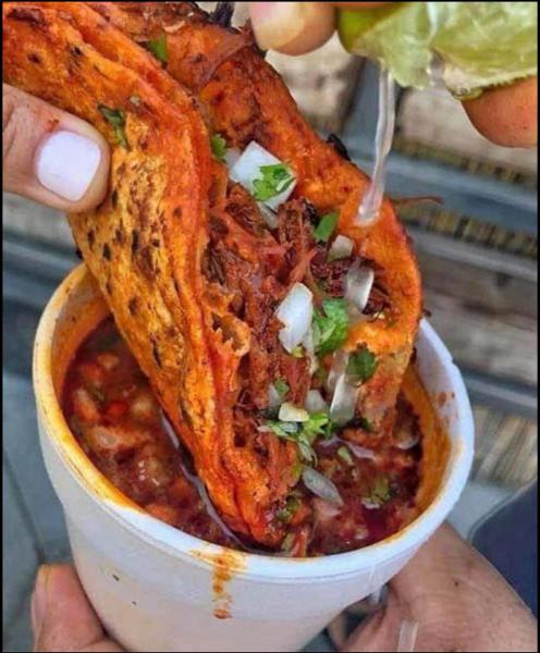 Buffalo Taco Food Vendors Buffalo Taco Food Vendors