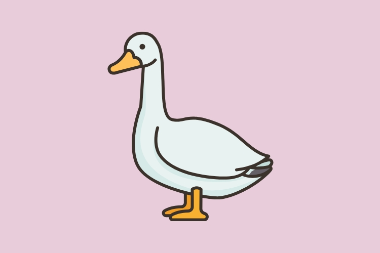 Ages 12+ only | Goose Chase Scavenger Hunt cover picture