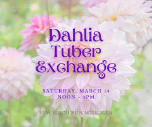 Dahlia Tuber Exchange Participant