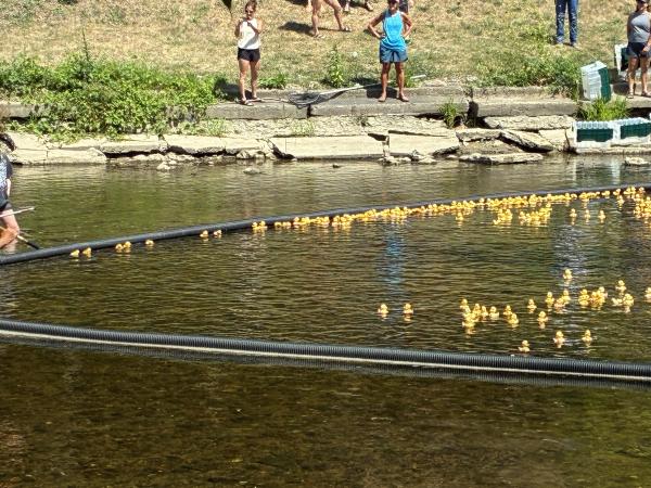 Curwood Festival Duck Race