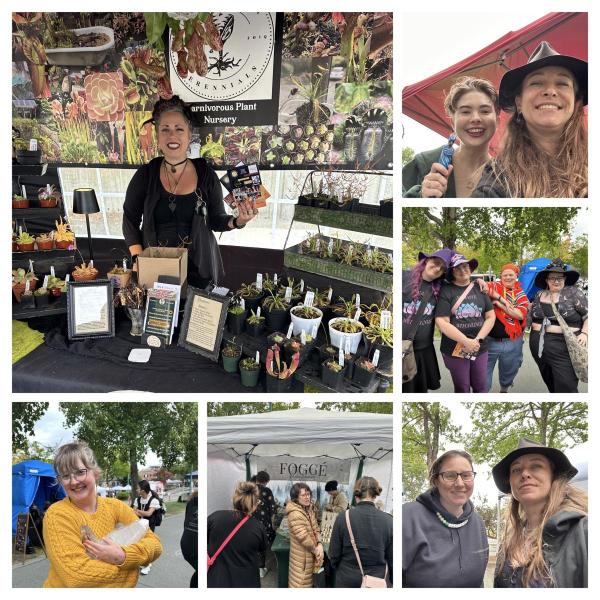 Lammas General Vendor