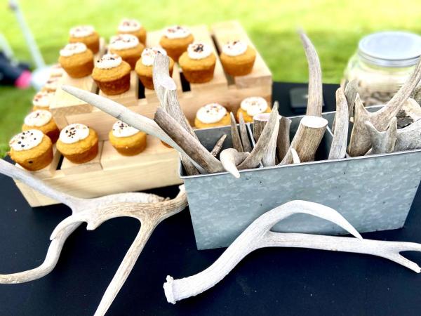 Youth Vendor & Non Profits