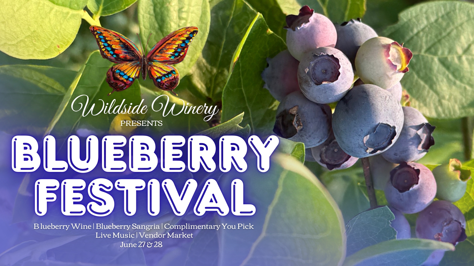 2026 Blueberry Festival