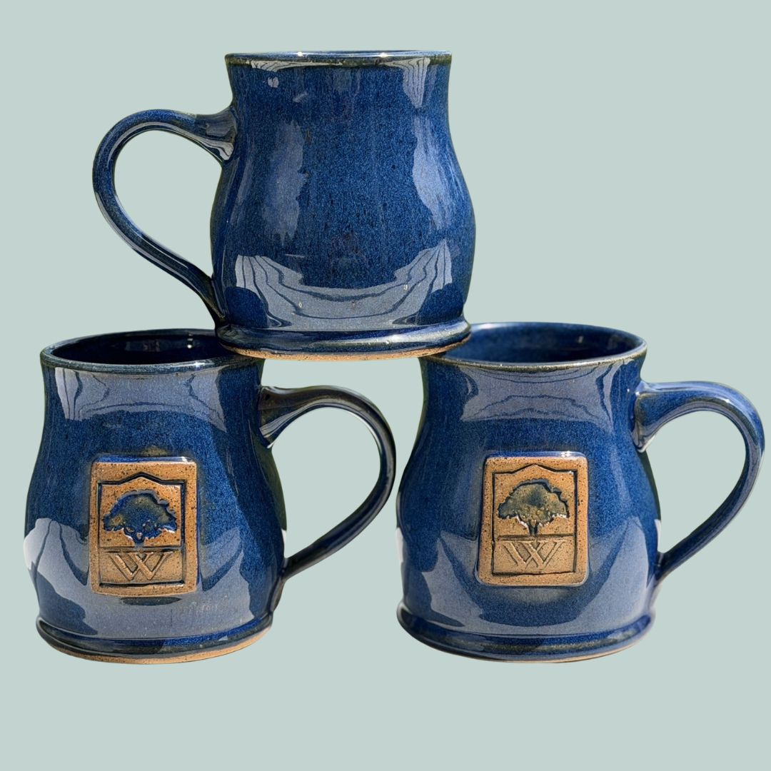 Waterford Foundation Commemorative Mug (Pickup at Merch Tent) cover picture
