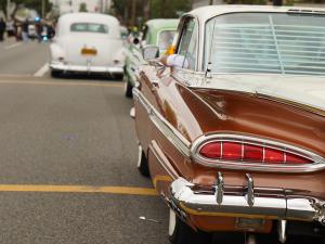 Parade DRIVER Application Cinco De Mayo