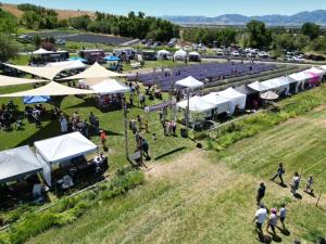 Artisan Vendor Application '26