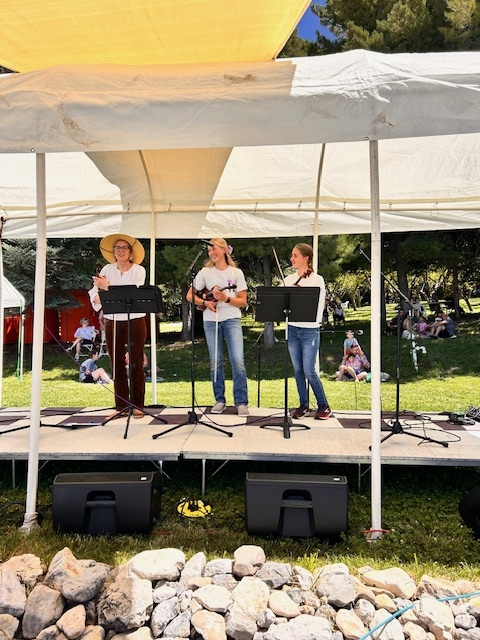 Entertainer Application '26