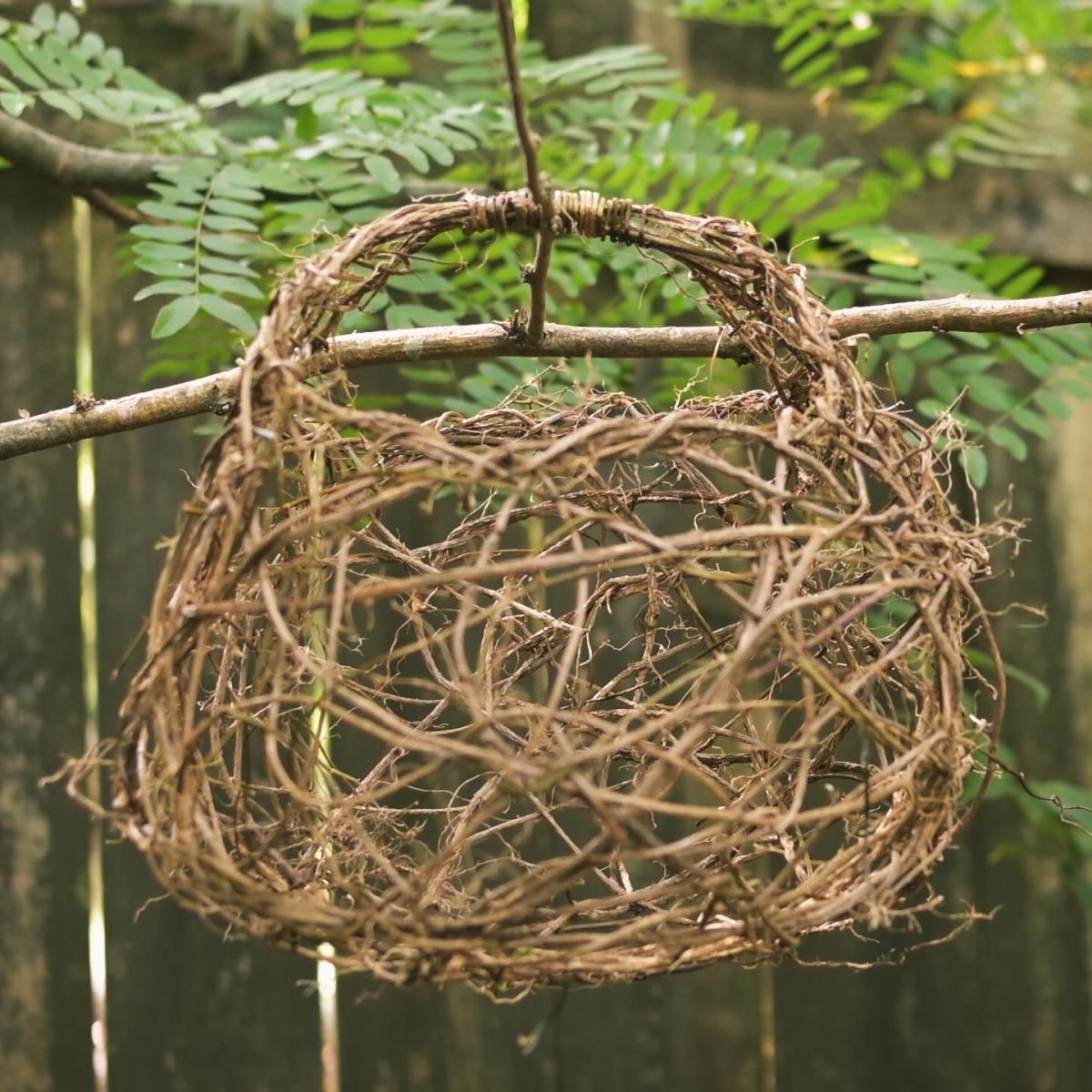 Sun, Wild Basketry cover picture