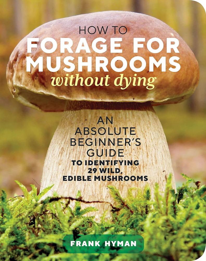 Sun, How to Forage Mushrooms Without Dying cover picture