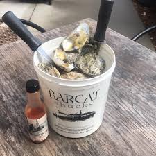 Oyster Bucket cover picture