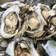 AYCE Oysters cover picture