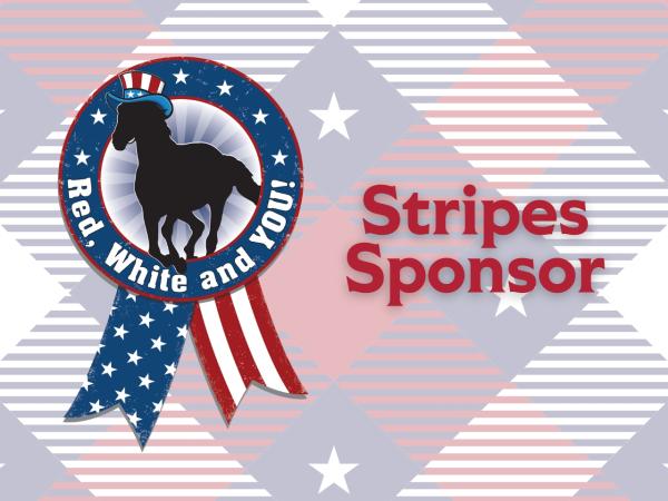 Stripes Sponsor | $500
