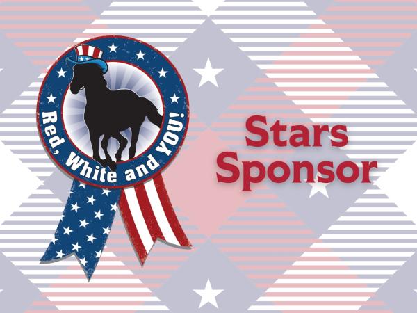 Stars Sponsor | $1000