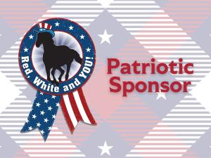 Patriotic Sponsor | $250