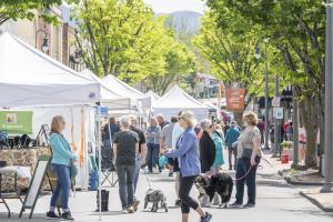 Appalachian True Heritage Festival 2026 - Vendor Application