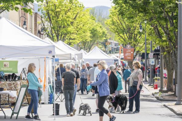 Appalachian True Heritage Festival 2026 - Vendor Application