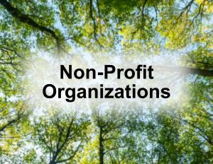 Non-Profit Organizations