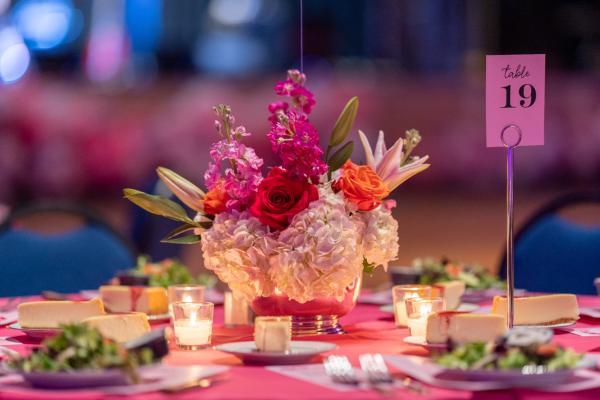 Cherry Blossom Ball 2026