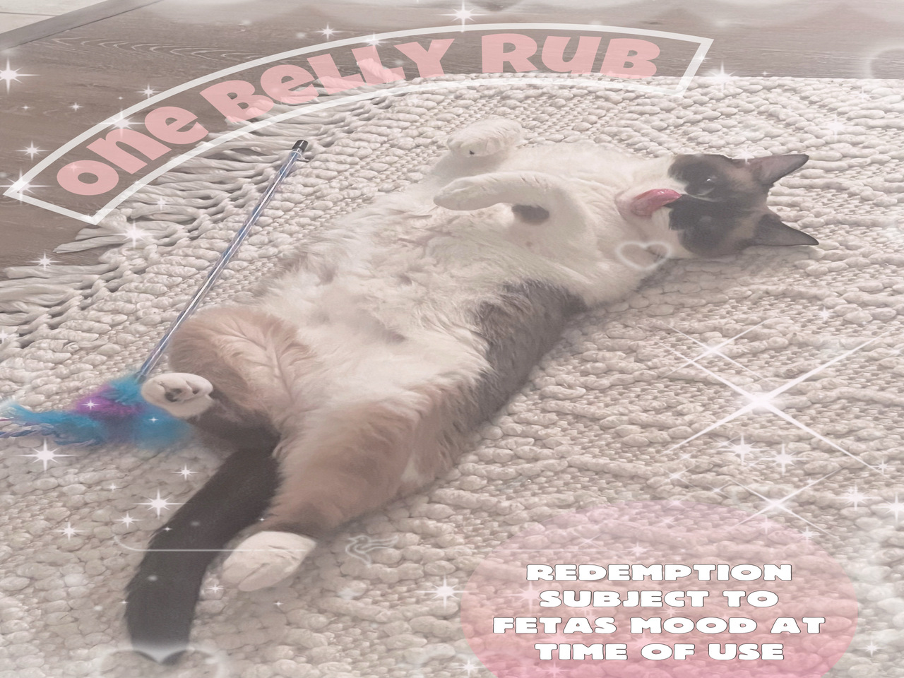 One Feta Belly Rub cover picture