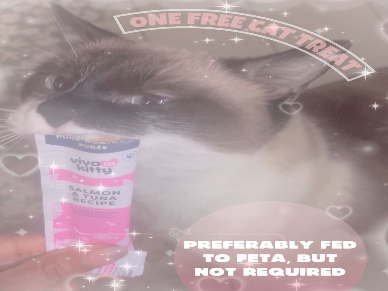 One Free Cat Treat cover picture