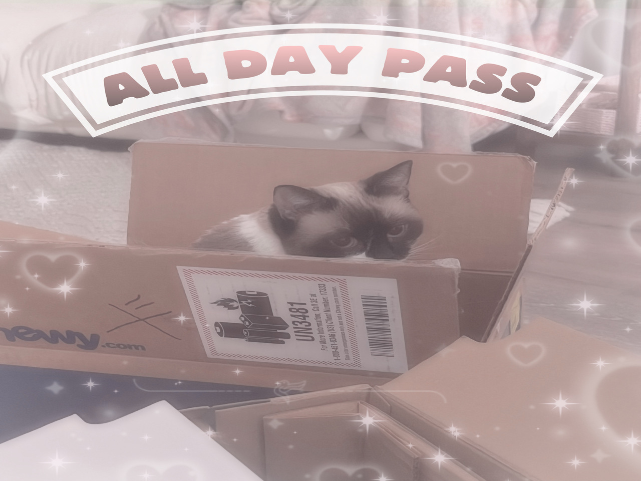 All Day Pass cover picture