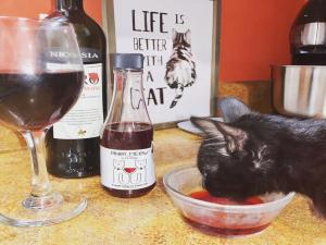 Cat Wine Pop-Up Bar