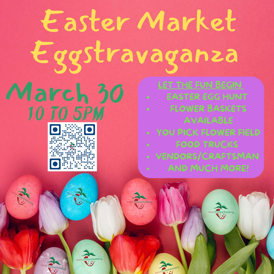 Easter Market Eggstravaganza cover image