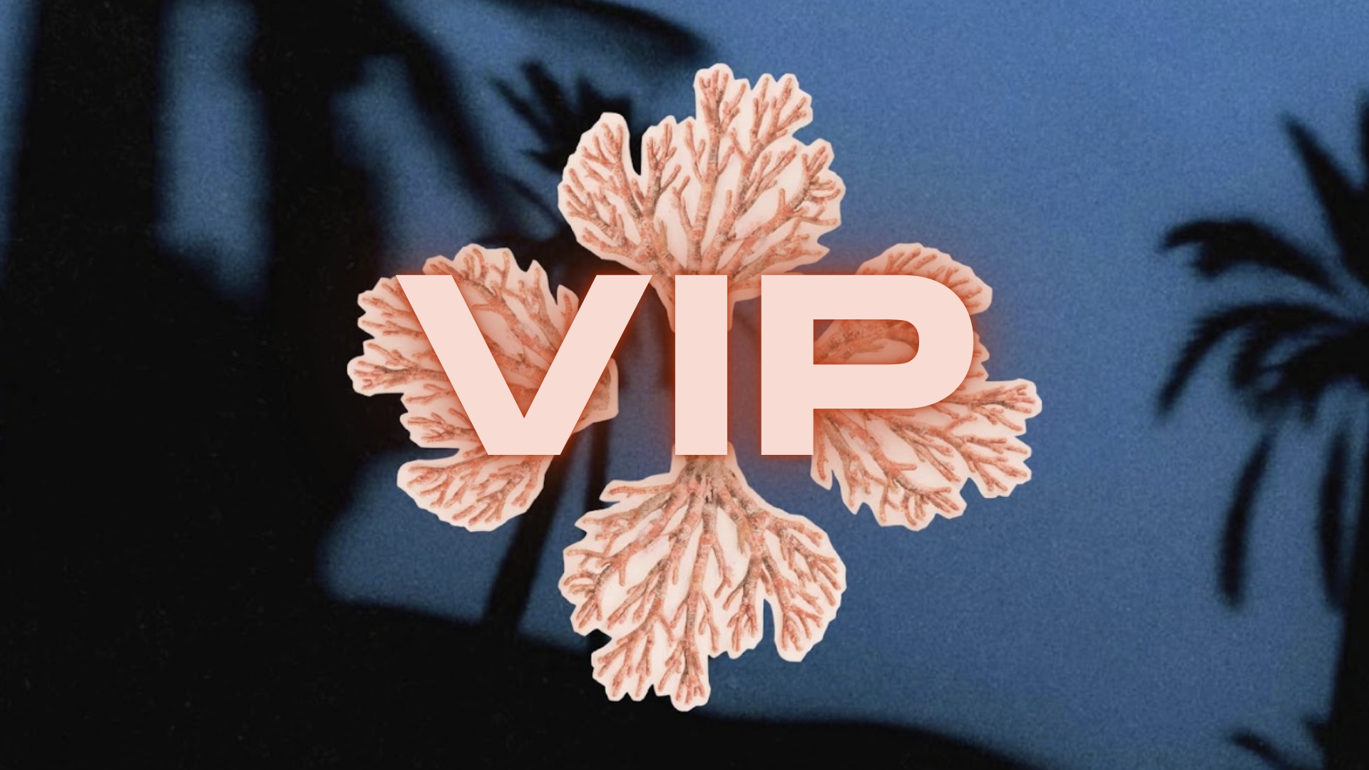 VIP cover picture