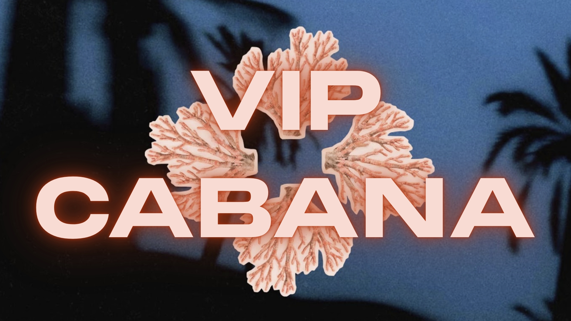VIP Cabana cover picture