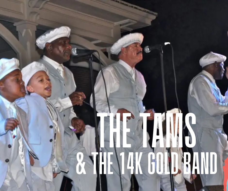 May 1, 2026- Tams & 14K Gold Band cover picture