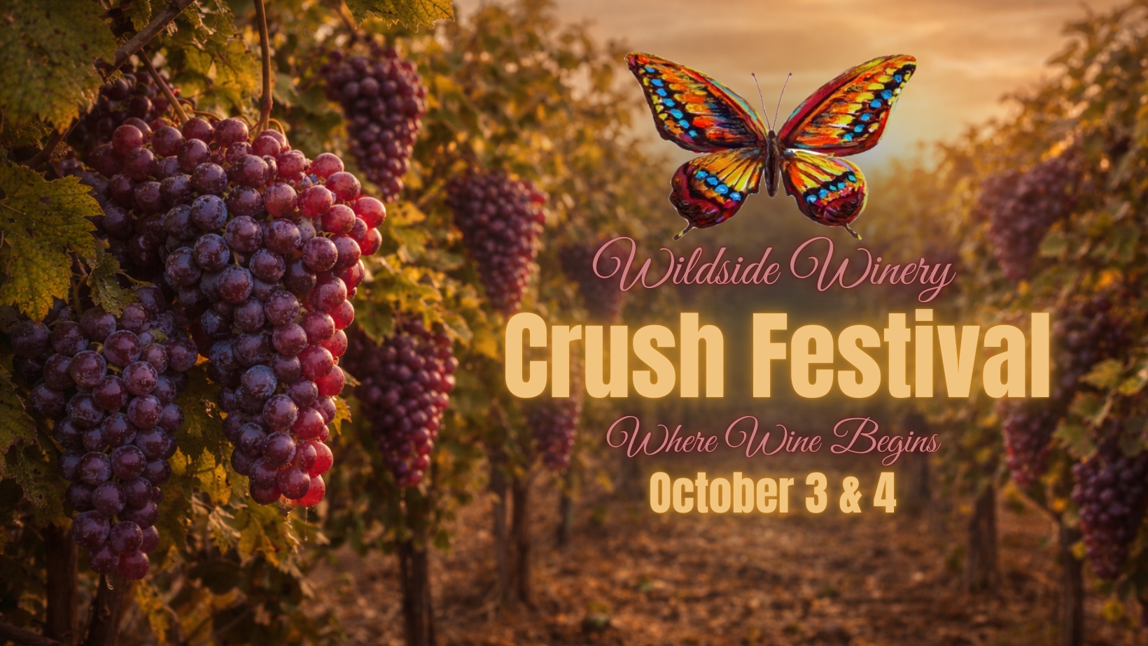 26 Wildside Crush Festival