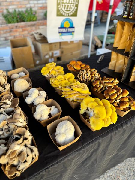 2026 Mushroom Vendors