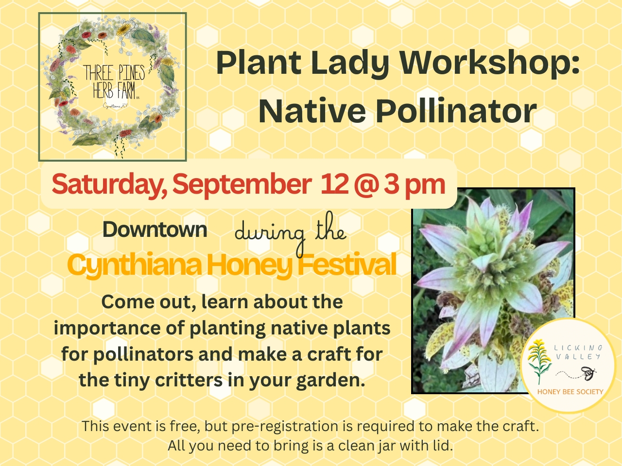 Plant Lady Workshop: Native Pollinators cover picture