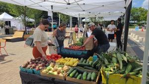 Howard County New and Beginning Farmer Program Vendors  ONLY