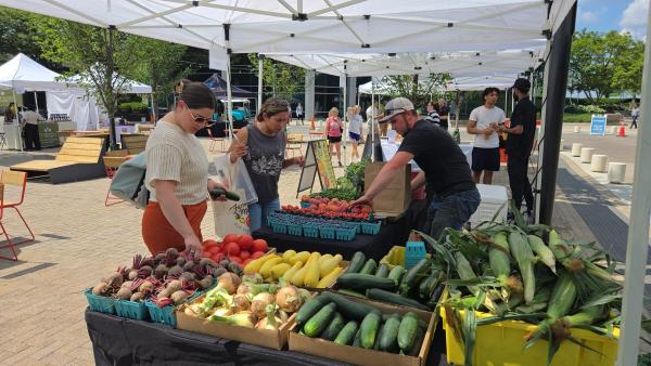 Howard County New and Beginning Farmer Program Vendors  ONLY