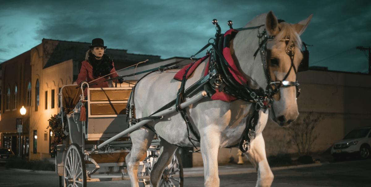 Holiday Carriage Rides December 11 and 12 cover image