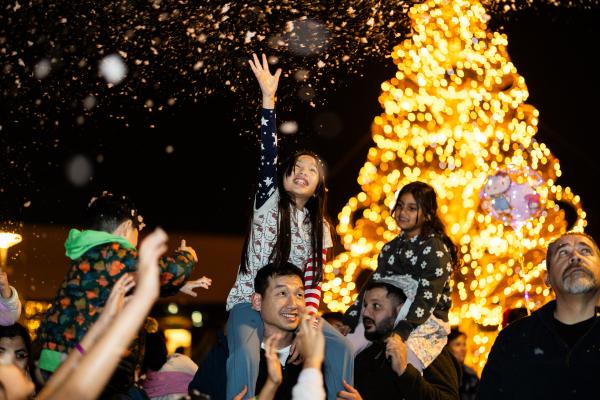 Sparkle (Presenting Sponsor) - $10,000