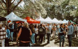 Beer & Wine Vendor Application