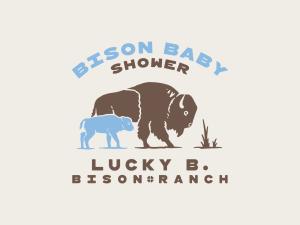 Bison Baby Shower Volunteer