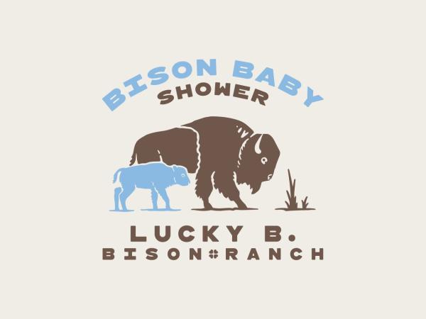 Bison Baby Shower Volunteer