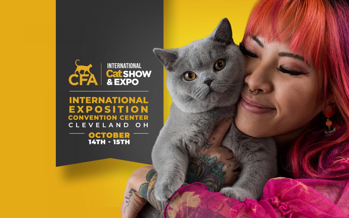 2023 CFA International Cat Show & Expo in Cleveland Ohio cover image