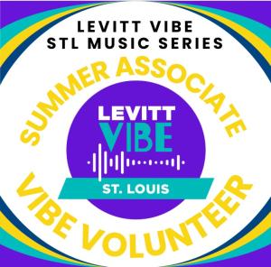 VIBE Volunteer - Summer Associate