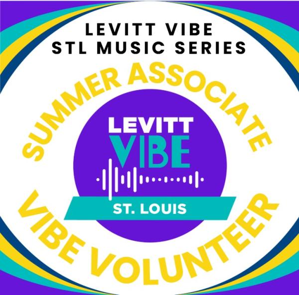 VIBE Volunteer - Summer Associate